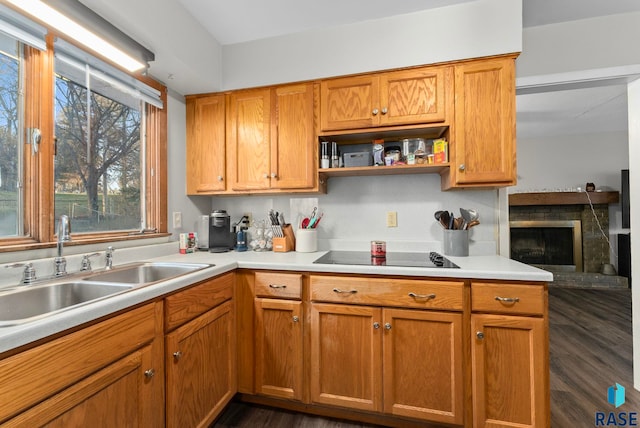 kitchen featuring black electric stovetop, dark wood-type flooring, and sink