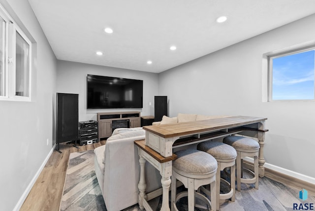 living room featuring light hardwood / wood-style flooring