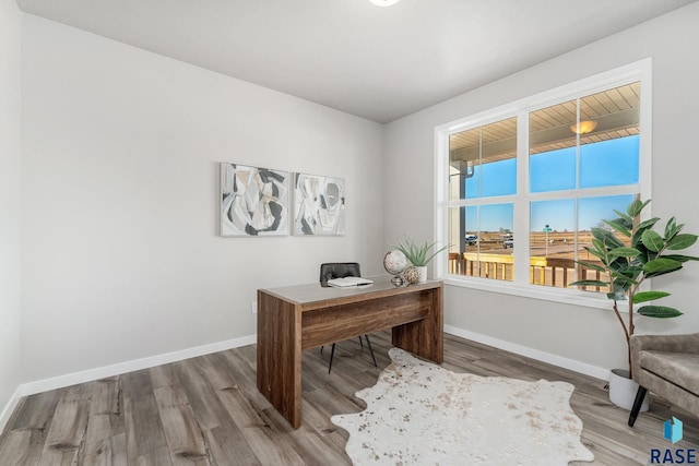 office with hardwood / wood-style floors