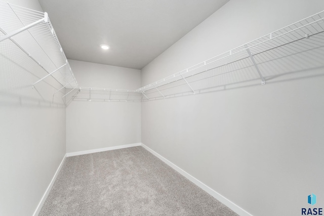 spacious closet with carpet floors