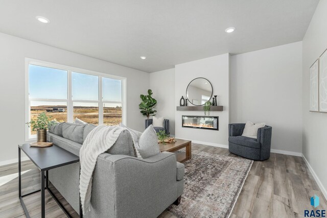 living room featuring wood-type flooring