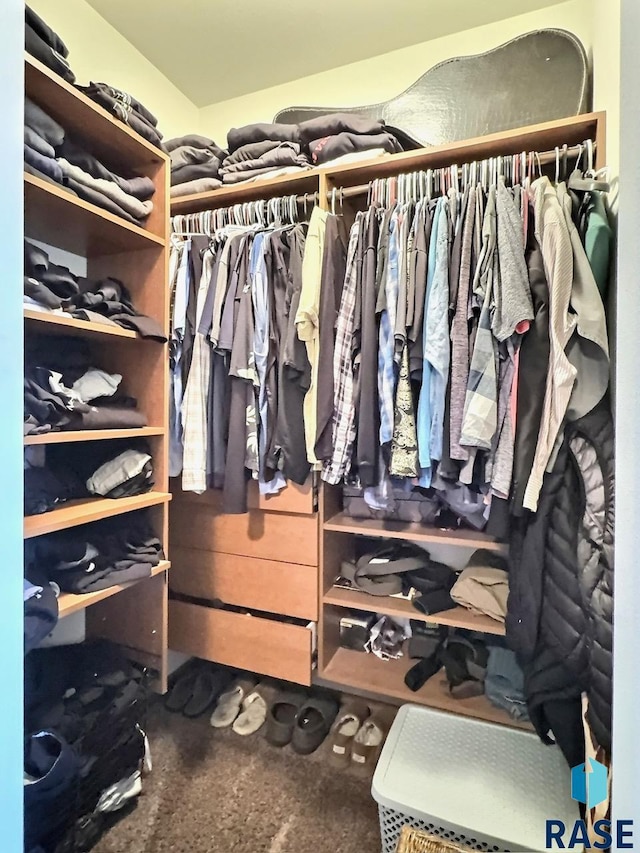 view of spacious closet