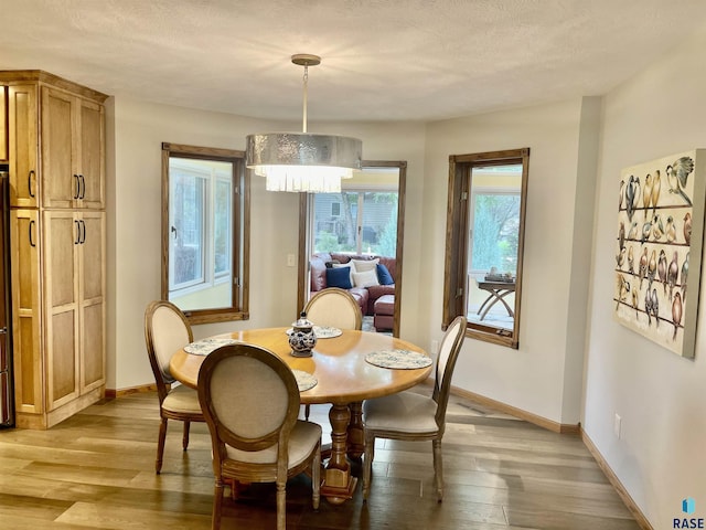 dining room with light hardwood / wood-style flooring