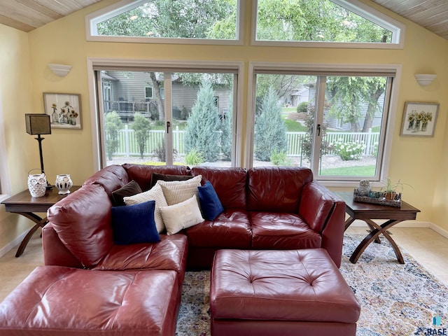 living room with lofted ceiling