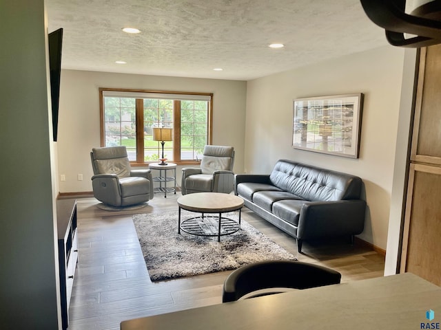 living room with hardwood / wood-style floors and a textured ceiling