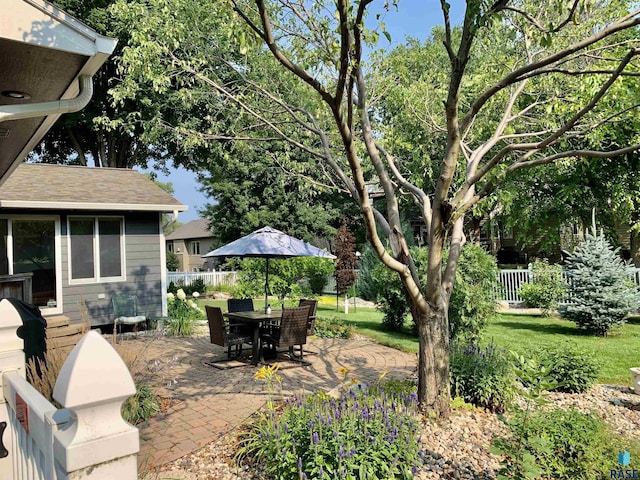 view of yard featuring a patio area