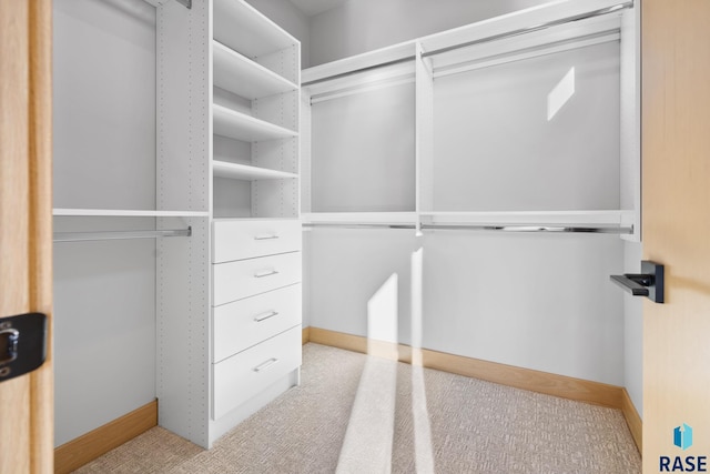 walk in closet with light colored carpet