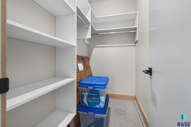 view of walk in closet