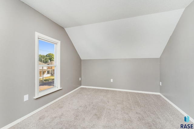 additional living space with carpet and vaulted ceiling