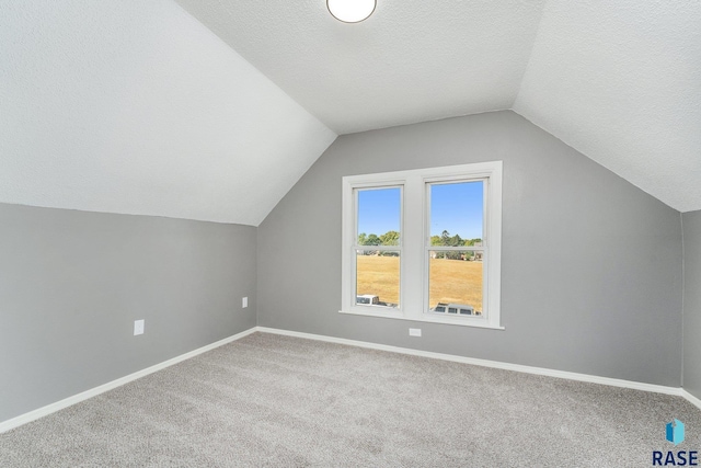 additional living space featuring carpet, a textured ceiling, and lofted ceiling