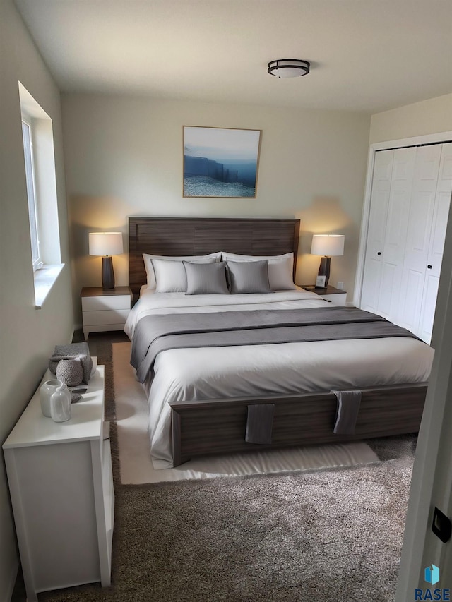 bedroom with carpet floors and a closet