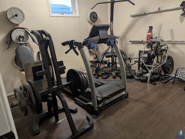 exercise area with hardwood / wood-style flooring