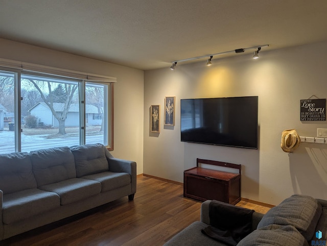 living room featuring rail lighting and wood-type flooring