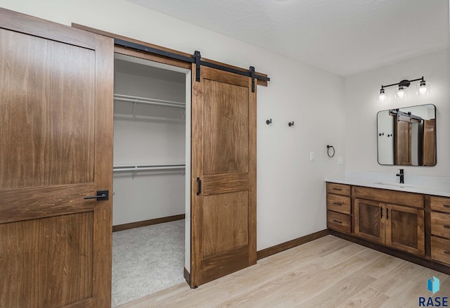 bathroom with vanity and wood-type flooring