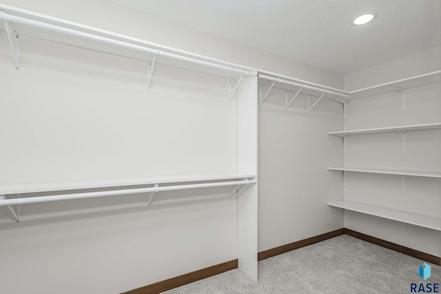 spacious closet with light colored carpet