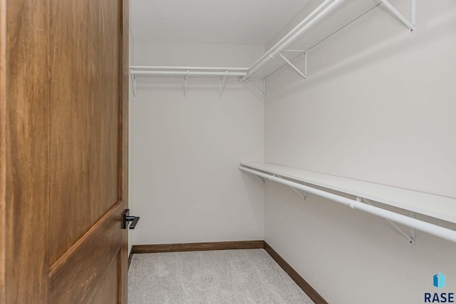 walk in closet with carpet floors