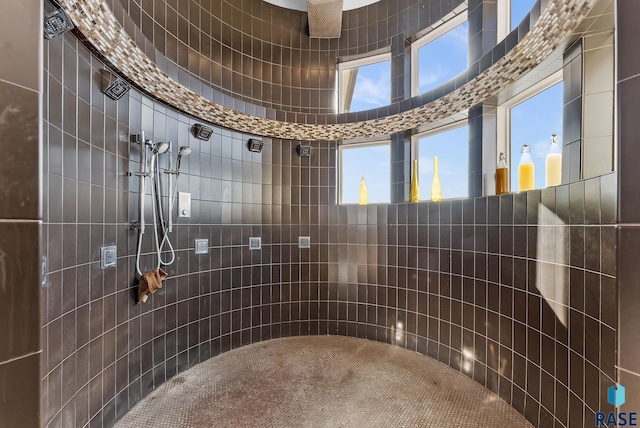 bathroom featuring plenty of natural light and walk in shower