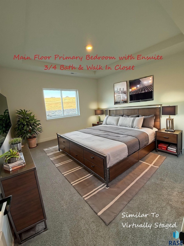 bedroom with a raised ceiling and carpet floors