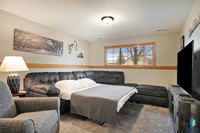 carpeted living room with a textured ceiling