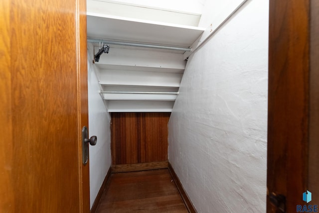 spacious closet featuring dark wood-type flooring