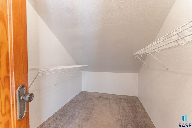 spacious closet featuring carpet floors