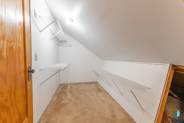 walk in closet featuring light colored carpet and lofted ceiling