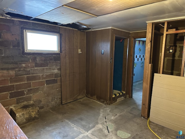 basement with wooden walls