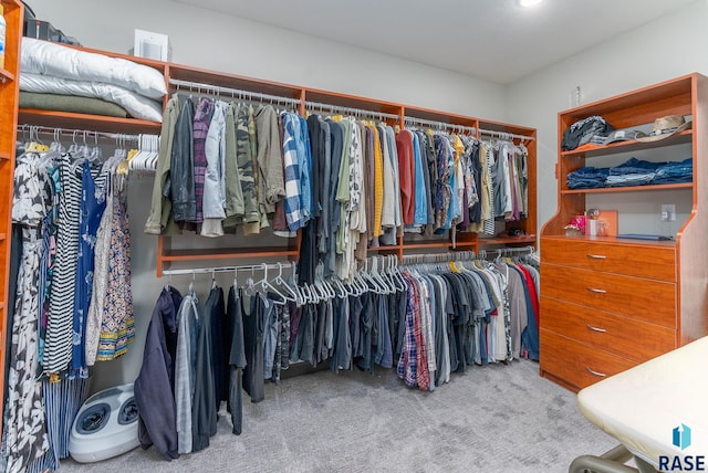 spacious closet featuring light carpet