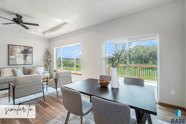 dining room with a raised ceiling, ceiling fan, and hardwood / wood-style flooring