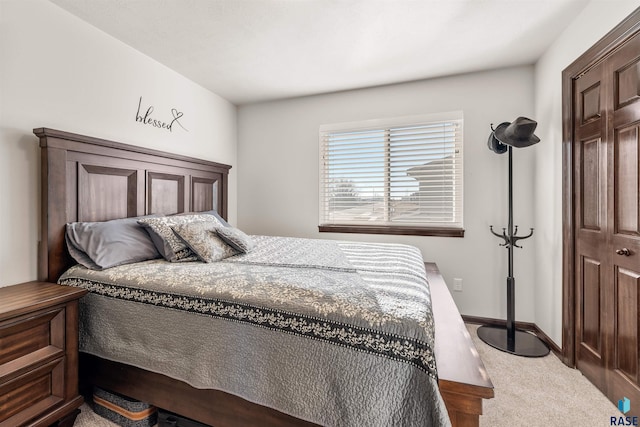 bedroom with carpet flooring and a closet