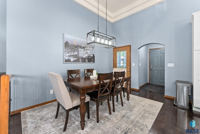 dining room with a high ceiling and dark hardwood / wood-style floors