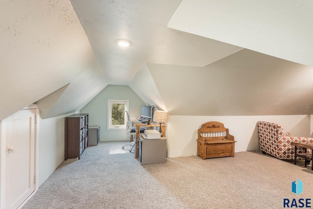 additional living space with a textured ceiling, light carpet, and vaulted ceiling