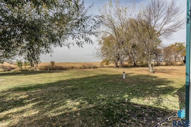 view of yard with a rural view