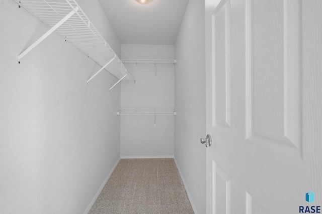 view of walk in closet