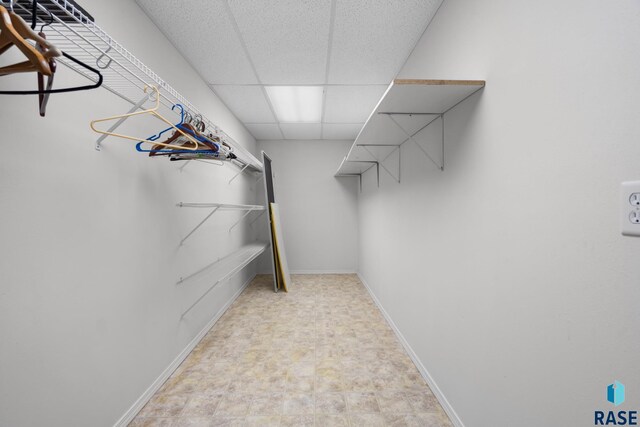 spacious closet featuring a paneled ceiling