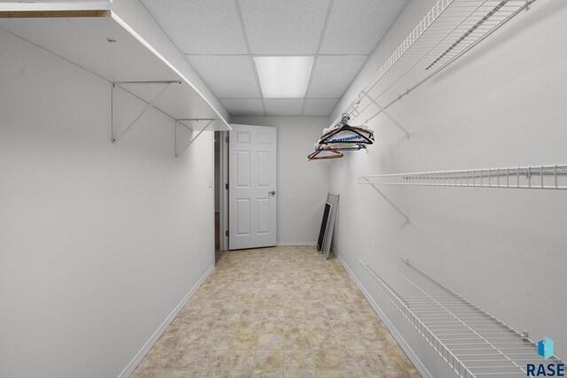 spacious closet with a paneled ceiling