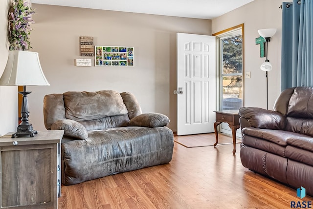 living room with light hardwood / wood-style floors