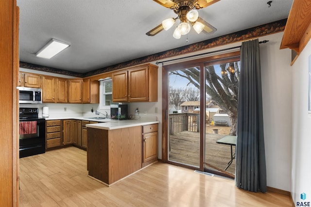 kitchen featuring ceiling fan, black electric range, plenty of natural light, and light hardwood / wood-style floors