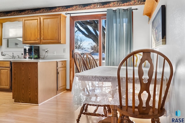 kitchen with light hardwood / wood-style floors and sink