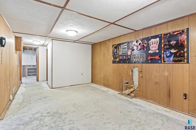 basement with wooden walls