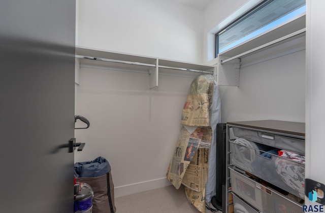 view of spacious closet