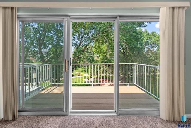 doorway featuring carpet floors