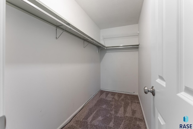 spacious closet featuring dark carpet