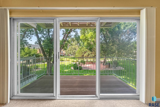 doorway featuring a wealth of natural light