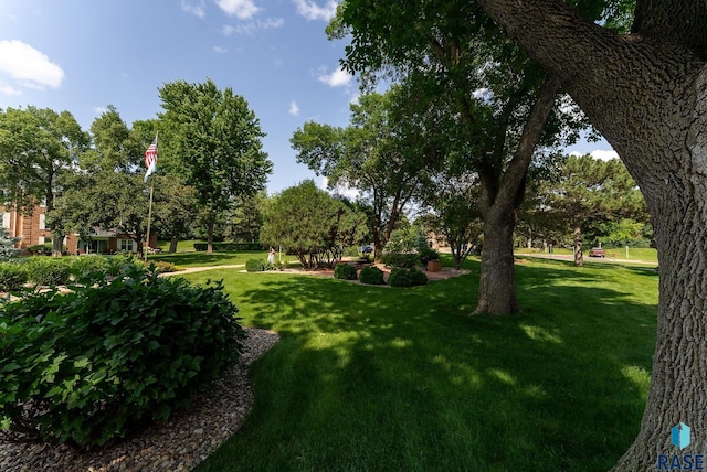 view of property's community featuring a lawn