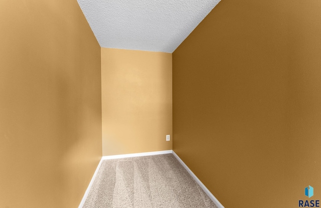 carpeted spare room with a textured ceiling and vaulted ceiling