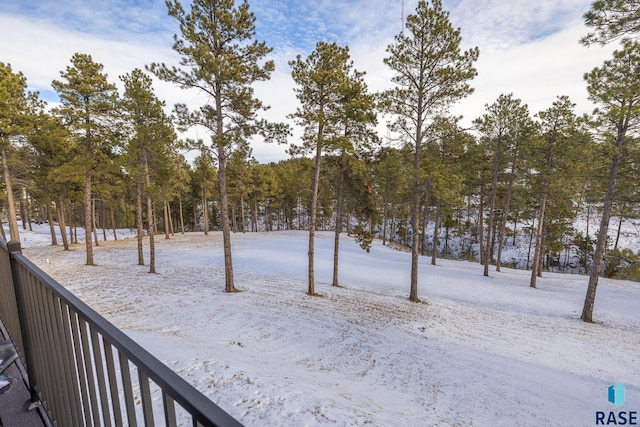 view of snowy yard