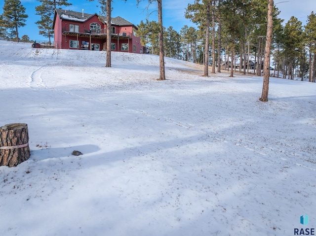 view of yard covered in snow