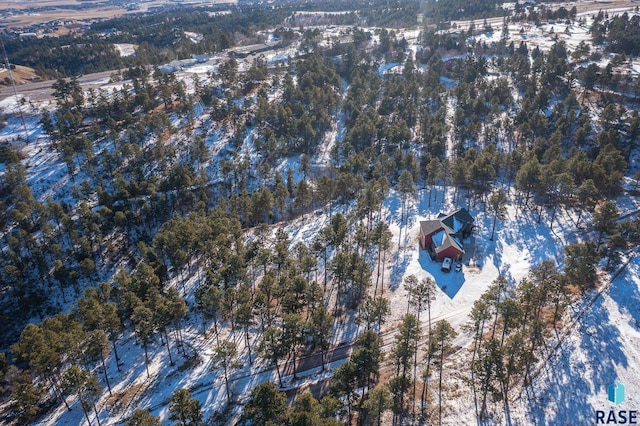 view of snowy aerial view