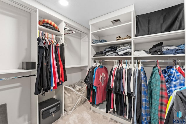 spacious closet featuring carpet flooring